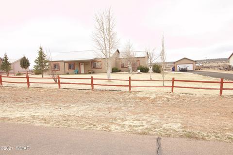 2555 E Walnut Dr, Taylor, AZ 85939 photo 2