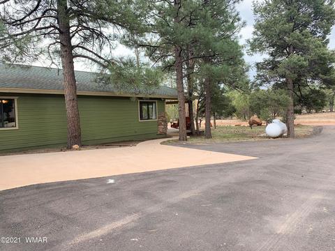 1908 Chevelon Rd, Overgaard, AZ 85933 photo 24