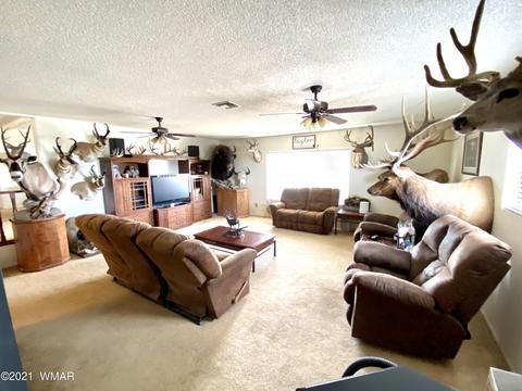 1107 S Jimmy St, Eagar, AZ 85925 photo 10
