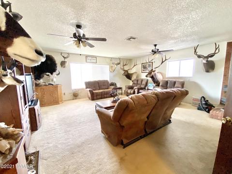 1107 S Jimmy St, Eagar, AZ 85925 photo 9