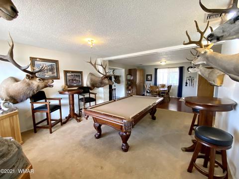 1107 S Jimmy St, Eagar, AZ 85925 photo 4