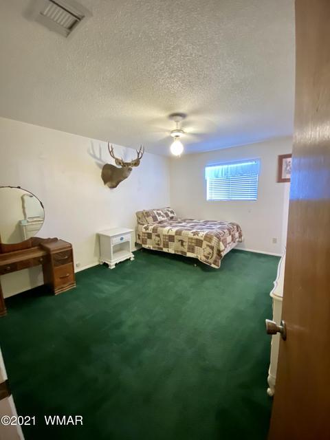 1107 S Jimmy St, Eagar, AZ 85925 photo 20