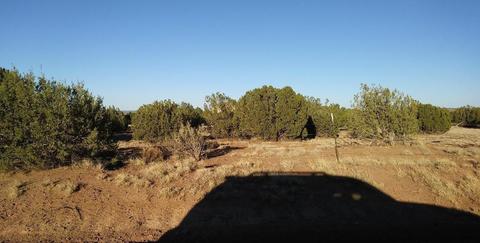 3857 Ramsey Rd, Snowflake, AZ 85937 photo 2
