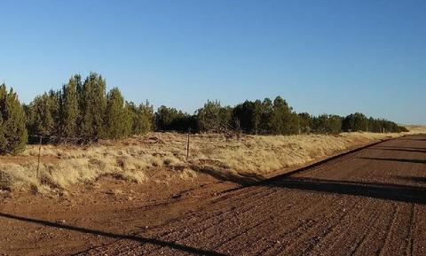 3857 Ramsey Rd, Snowflake, AZ 85937 photo 3