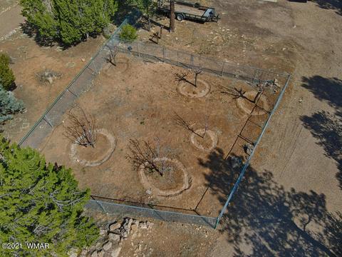 2092 Roundup Rd, Overgaard, AZ 85933 photo 12