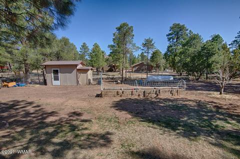 2092 Roundup Rd, Overgaard, AZ 85933 photo 4