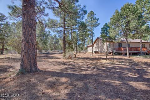 2092 Roundup Rd, Overgaard, AZ 85933 photo 6