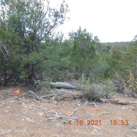 3630 Bobcat Trl, Overgaard, AZ 85933 photo 1