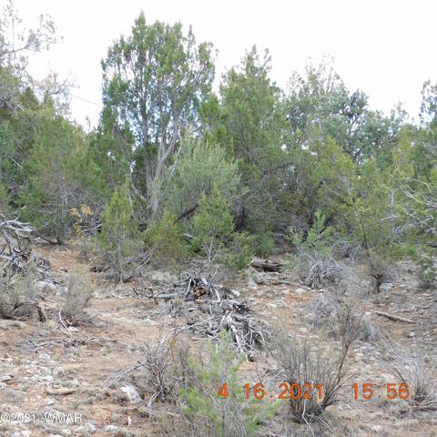 3630 Bobcat Trl, Overgaard, AZ 85933 photo 4