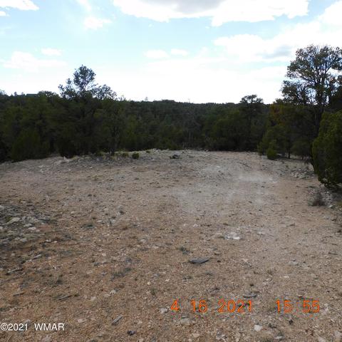 3630 Bobcat Trl, Overgaard, AZ 85933 photo 2