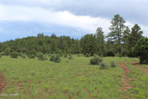 9801 Porter Mountain Rd, Lakeside, AZ 85929