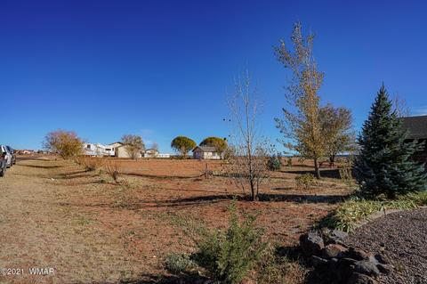 2425 E Walnut Dr, Taylor, AZ 85939 photo 31