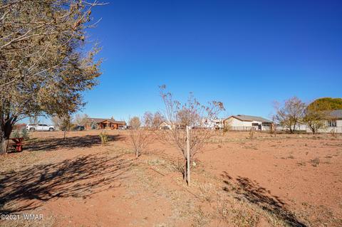 2425 E Walnut Dr, Taylor, AZ 85939 photo 35