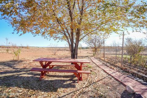 2425 E Walnut Dr, Taylor, AZ 85939 photo 33