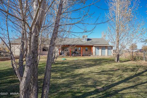 2425 E Walnut Dr, Taylor, AZ 85939 photo 41