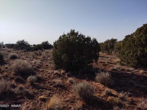 9760 E Concho Hwy, Snowflake, AZ 85937 photo 1