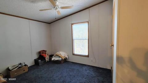 3917 Indian Bend Rd, Snowflake, AZ 85937 photo 14
