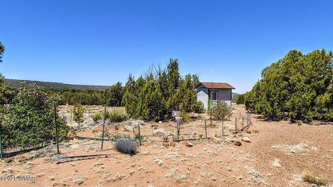 3917 Indian Bend Rd, Snowflake, AZ 85937 photo 6