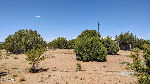3917 Indian Bend Rd, Snowflake, AZ 85937 photo 4