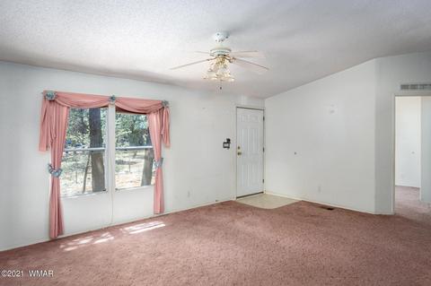 3620 Buckskin Rd, Overgaard, AZ 85933 photo 1