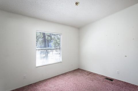 3620 Buckskin Rd, Overgaard, AZ 85933 photo 6