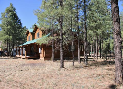 2836 Timber Trail Loop, Overgaard, AZ 85933 photo 38