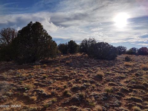 4312 Mountain View Rd, Snowflake, AZ 85937 photo 1