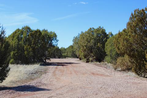 8247 Bogie Loop, Show Low, AZ 85901 photo 25