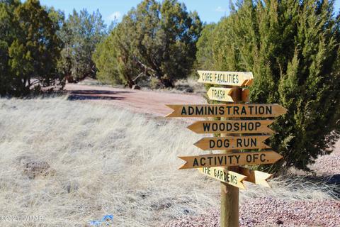 8247 Bogie Loop, Show Low, AZ 85901 photo 26