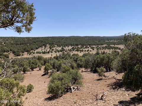 0000 W Burton Rd, Show Low, AZ 85901