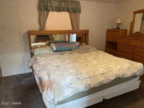3557 Wildflower Dr, Overgaard, AZ 85933 photo 10