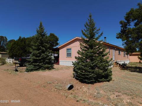 3557 Wildflower Dr, Overgaard, AZ 85933 photo 2