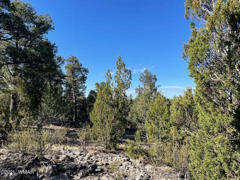 2939 Far View Ln, Overgaard, AZ 85928 photo 2
