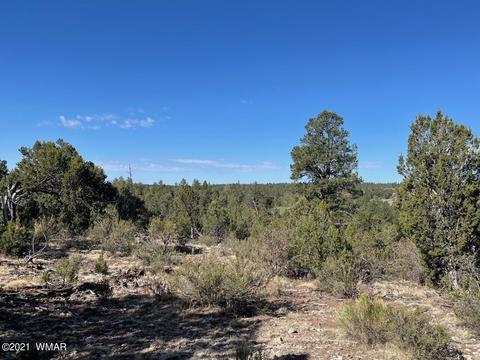 2939 Far View Ln, Overgaard, AZ 85928 photo 7