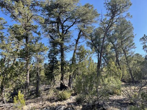 2939 Far View Ln, Overgaard, AZ 85928 photo 6