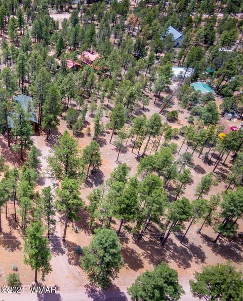 2147 Arrowhead Trl, Overgaard, AZ 85933 photo 3
