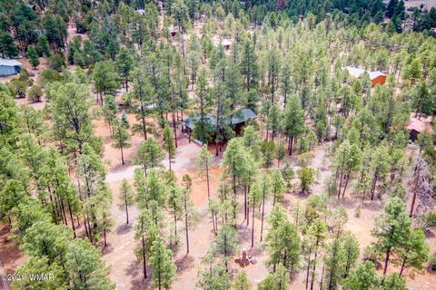 2147 Arrowhead Trl, Overgaard, AZ 85933 photo 5