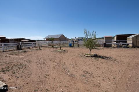7710 Open Sky Loop, Taylor, AZ 85939 photo 44