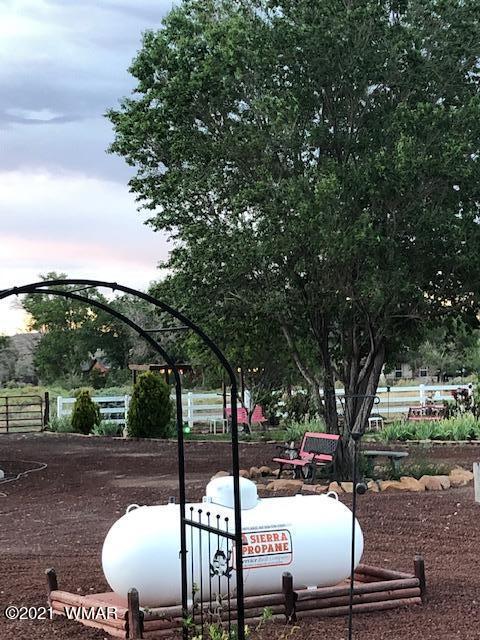 7710 Open Sky Loop, Taylor, AZ 85939 photo 63