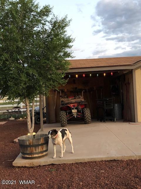 7710 Open Sky Loop, Taylor, AZ 85939 photo 65