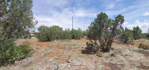 8441 Cochise Cir, Show Low, AZ 85901 photo 1
