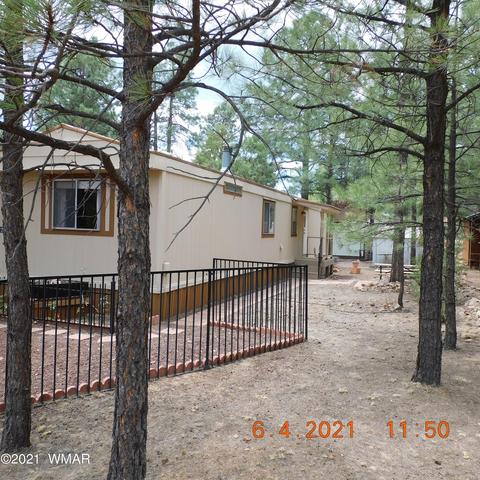 2872 Big Pine Rd, Overgaard, AZ 85933 photo 23