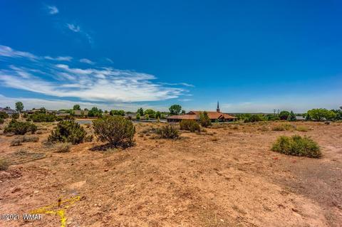 815 E Cobble Ln, Taylor, AZ 85939 photo 3