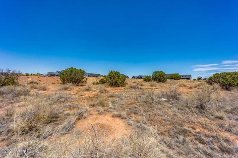 815 E Cobble Ln, Taylor, AZ 85939 photo 1