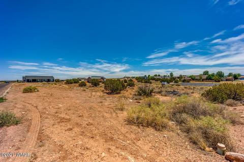 815 E Cobble Ln, Taylor, AZ 85939 photo 2
