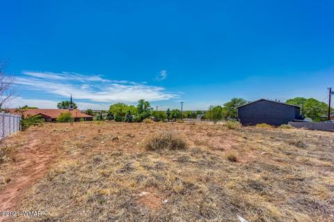 720 E Cobble Ln, Taylor, AZ 85939 photo 2