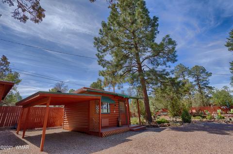 3393 Turkey Run, Overgaard, AZ 85928 photo 27