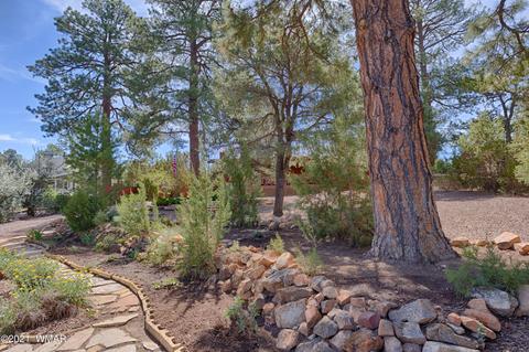 3393 Turkey Run, Overgaard, AZ 85928 photo 2