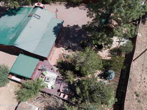 3393 Turkey Run, Overgaard, AZ 85928 photo 37