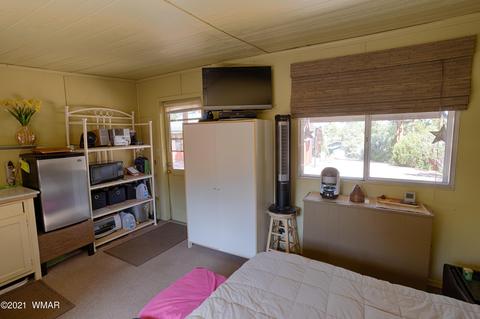 3393 Turkey Run, Overgaard, AZ 85928 photo 24